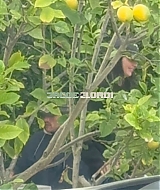 Filename=01.jpg
Filesize=870KiB
Dimensions=1333x2000
Date added=May 28, 2026 01.jpg