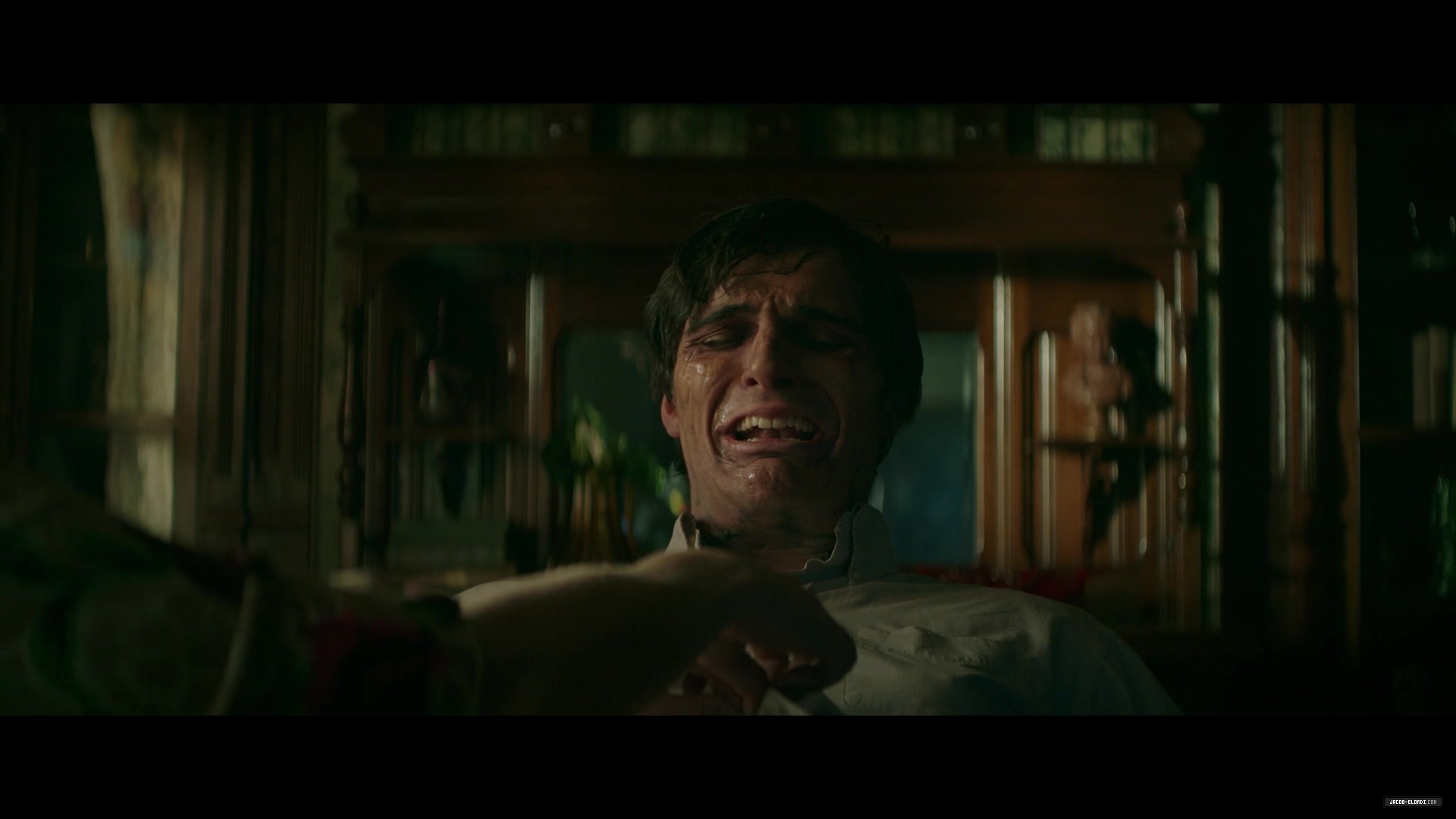 screencaptures_2869329.jpg