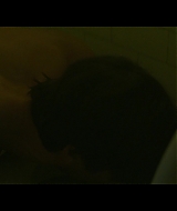 Filename=screencaptures_28108329.jpg
Filesize=264KiB
Dimensions=1920x1080
Date added=Oct 15, 2020 screencaptures_28108329.jpg