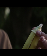 screencaptures_2877729.jpg