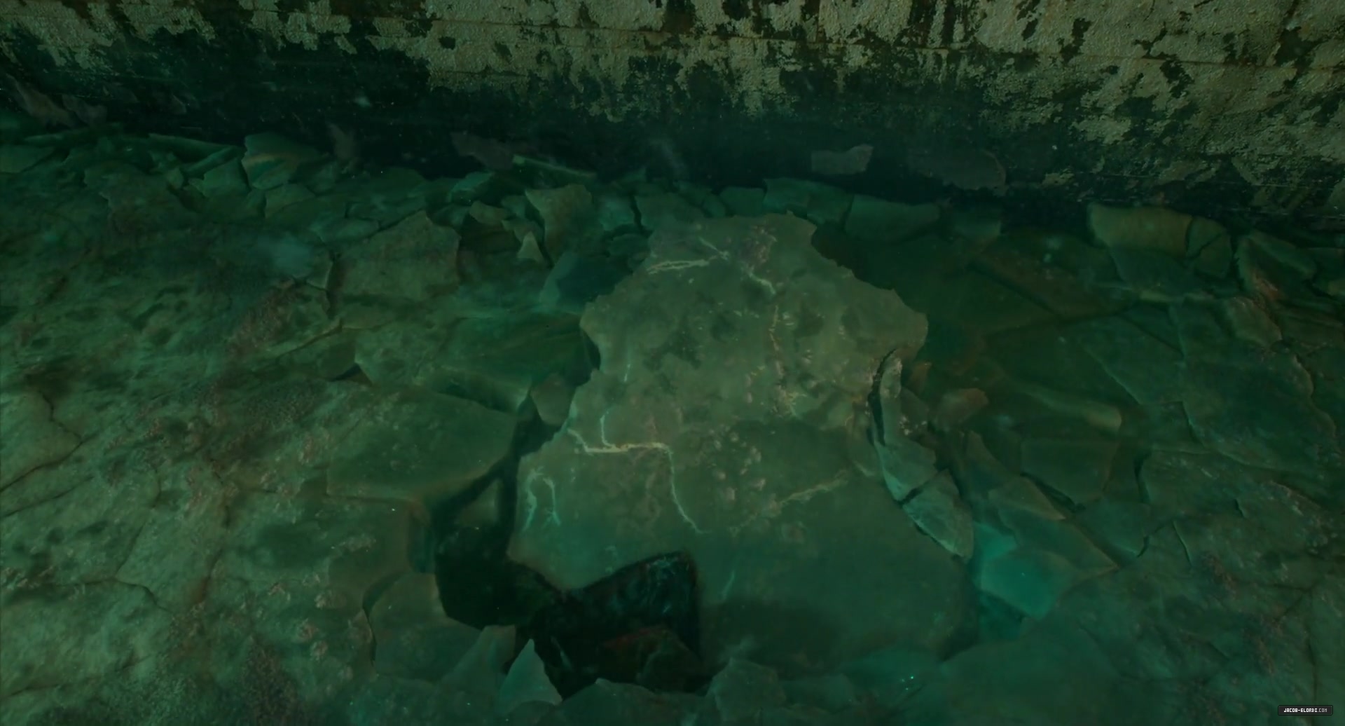 0081.jpg