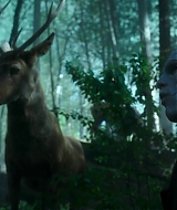 Filename=0951.jpg
Filesize=534KiB
Dimensions=1920x1036
Date added=Dec 24, 2025 0951.jpg