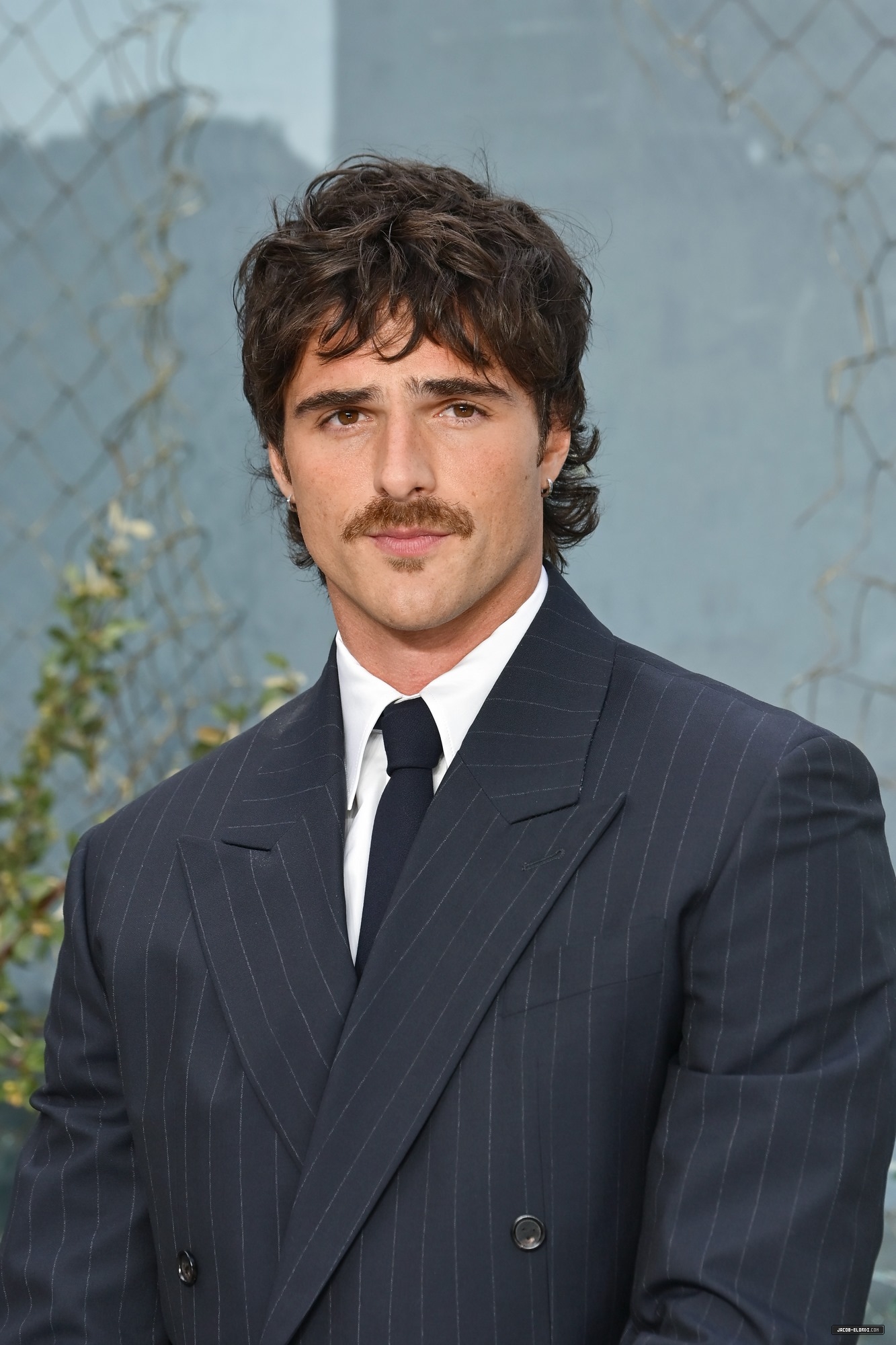 201.jpg