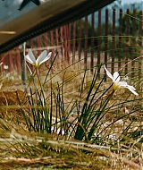 Filename=09.jpg
Filesize=1014KiB
Dimensions=1920x872
Date added=Jun 02, 2026 09.jpg
