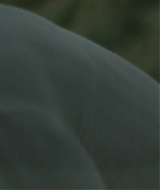 Filename=286.jpg
Filesize=203KiB
Dimensions=1920x800
Date added=Dec 27, 2025 286.jpg